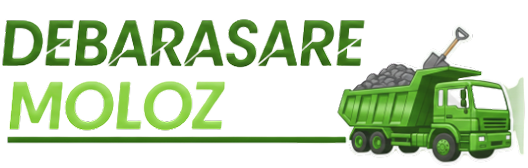 Debarasare moloz